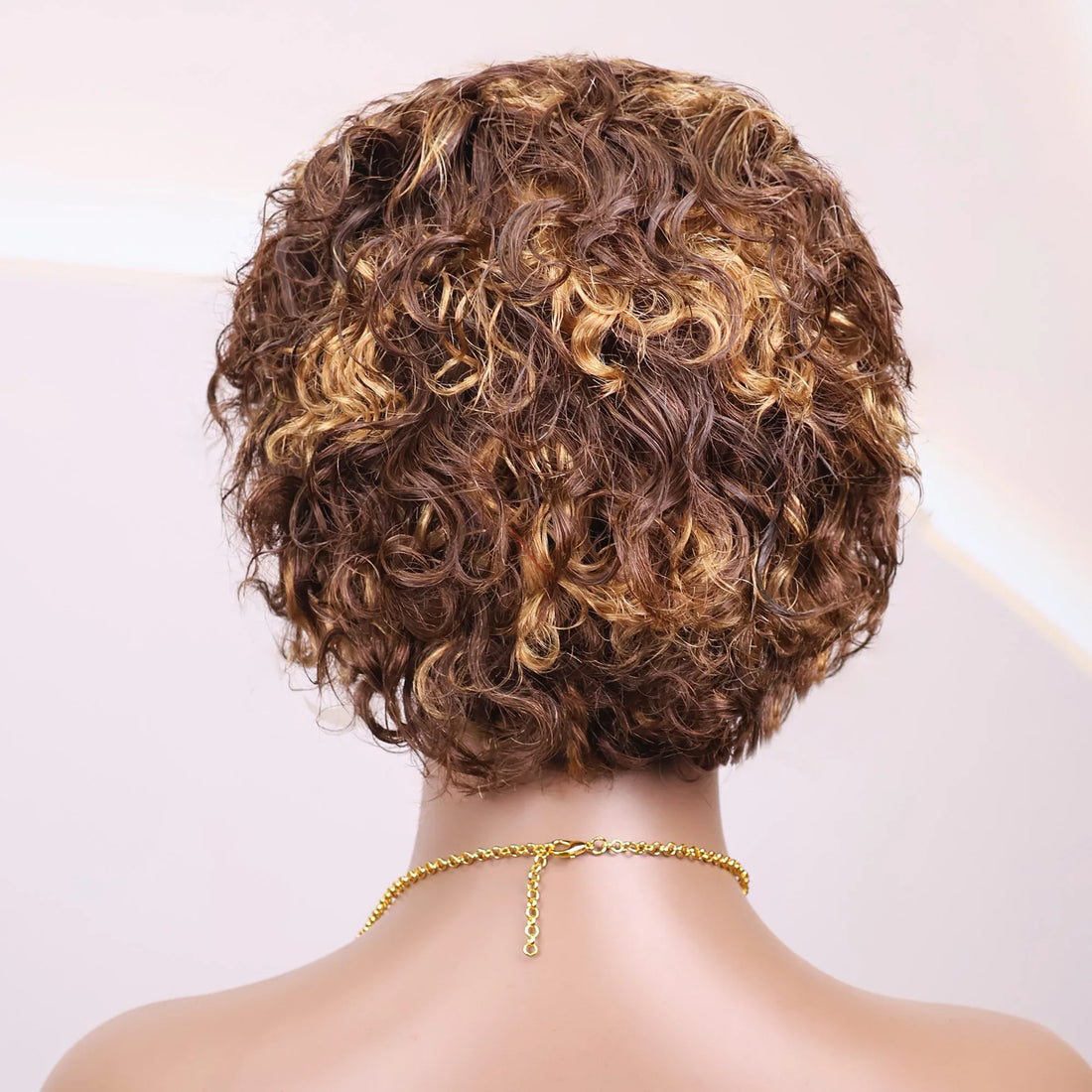4/27 Transparent Lace Front Short Kinky Curly Brazilian Human Hair Wig
