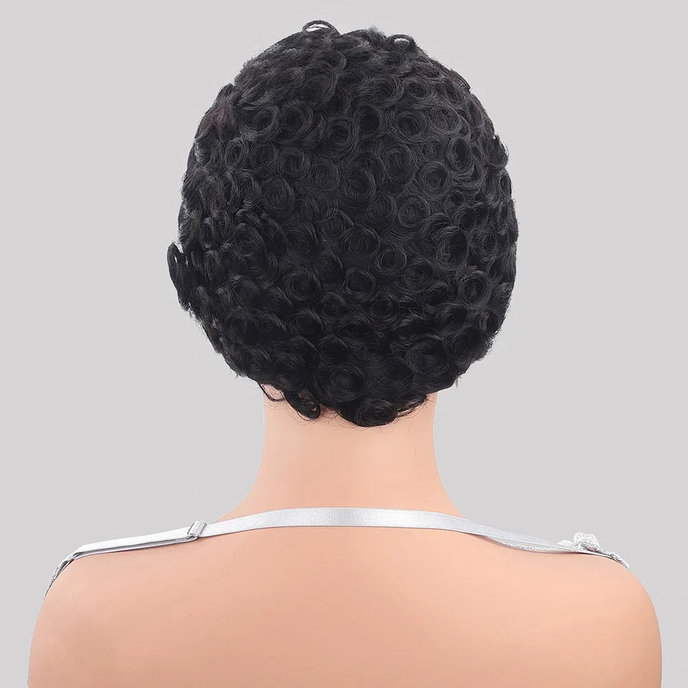 Curly 13x4 HD Lace Front 150% Density Short Pixie Cut Brazilian Human Hair Wig